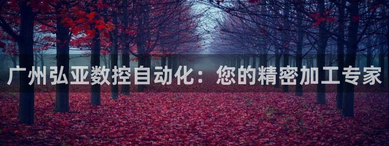 天辰娱乐黑人:广州弘亚数控自动化:您的精密加工专家