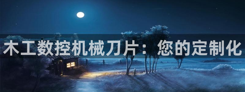 天辰娱乐平台登录账号:木工数控机械刀片:您的定制化