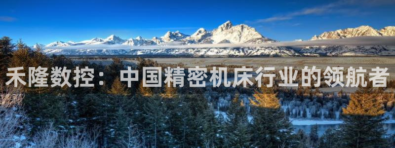 天辰辰娱乐代理:禾隆数控:中国精密机床行业的领航者