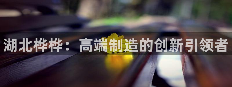 天辰娱乐指尖所:湖北桦桦:高端制造的创新引领者