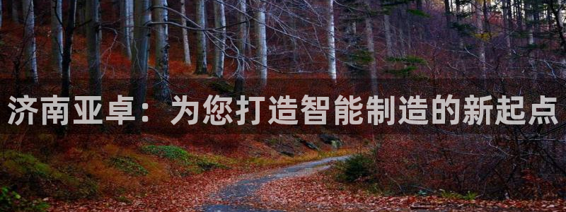 天辰 娱乐:济南亚卓:为您打造智能制造的新起点