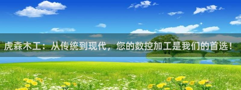 天辰娱乐登陆:虎森木工:从传统到现代,您的数控加工是我们的首选!