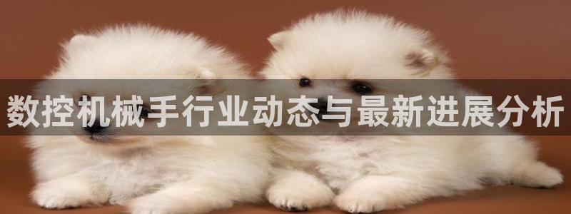 天辰 娱乐:数控机械手行业动态与最新进展分析