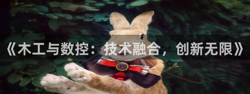 天辰娱乐1980:《木工与数控:技术融合,创新无限》
