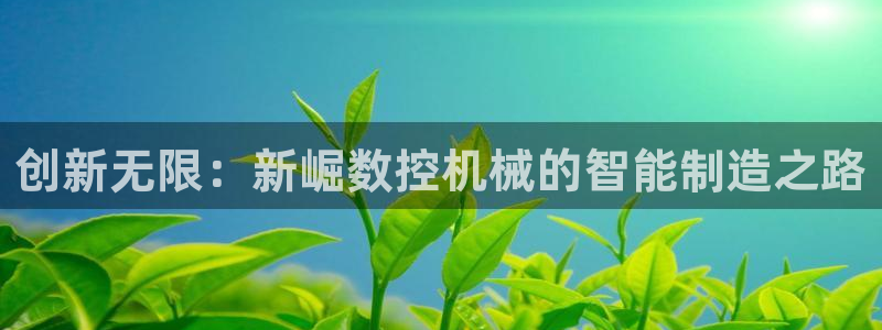 天辰娱乐代理:创新无限:新崛数控机械的智能制造之路