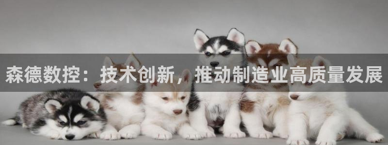 天辰娱乐天辰宝:森德数控:技术创新,推动制造业高质量发展