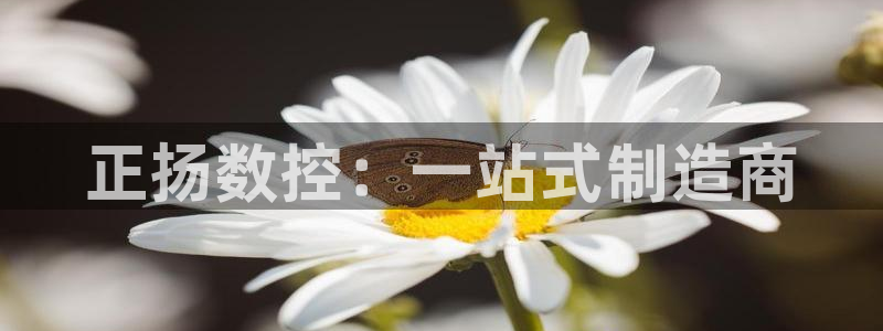 天辰娱乐元宝:正扬数控:一站式制造商