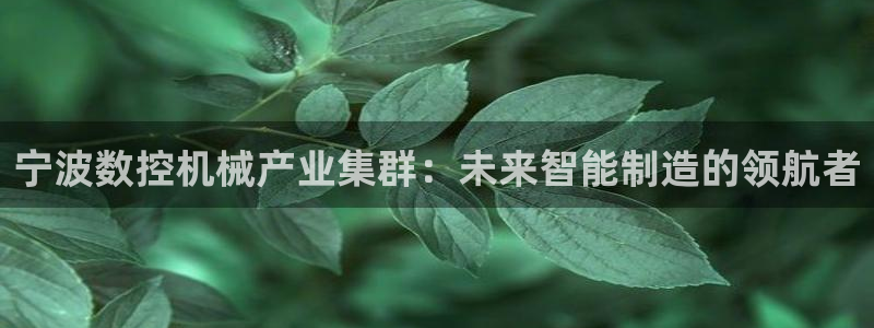 天辰娱乐的网址首页:宁波数控机械产业集群:未来智能制造的领航者