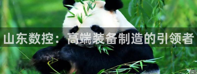 天辰娱乐游客:山东数控:高端装备制造的引领者