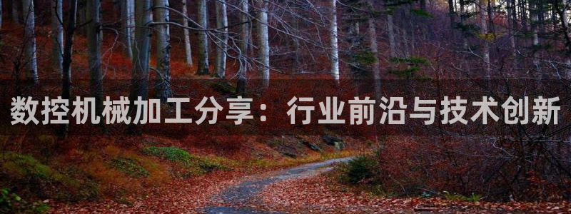 天辰娱乐说:数控机械加工分享:行业前沿与技术创新